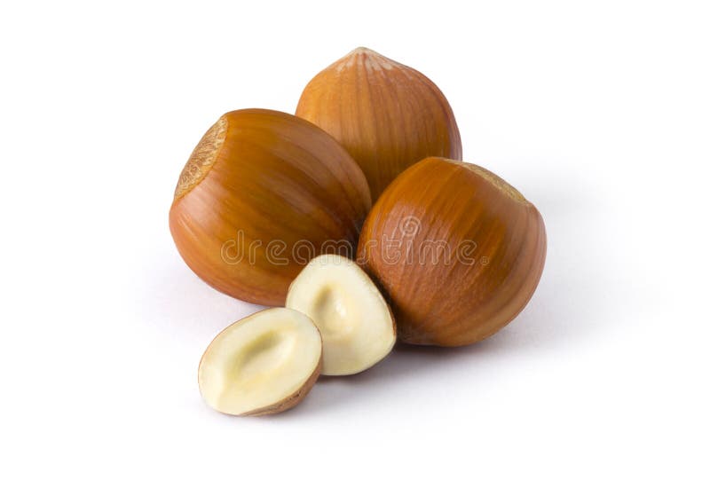 Isolated group of hazelnuts royalty free stock photography Isolated group of hazelnuts royalty free stock photography