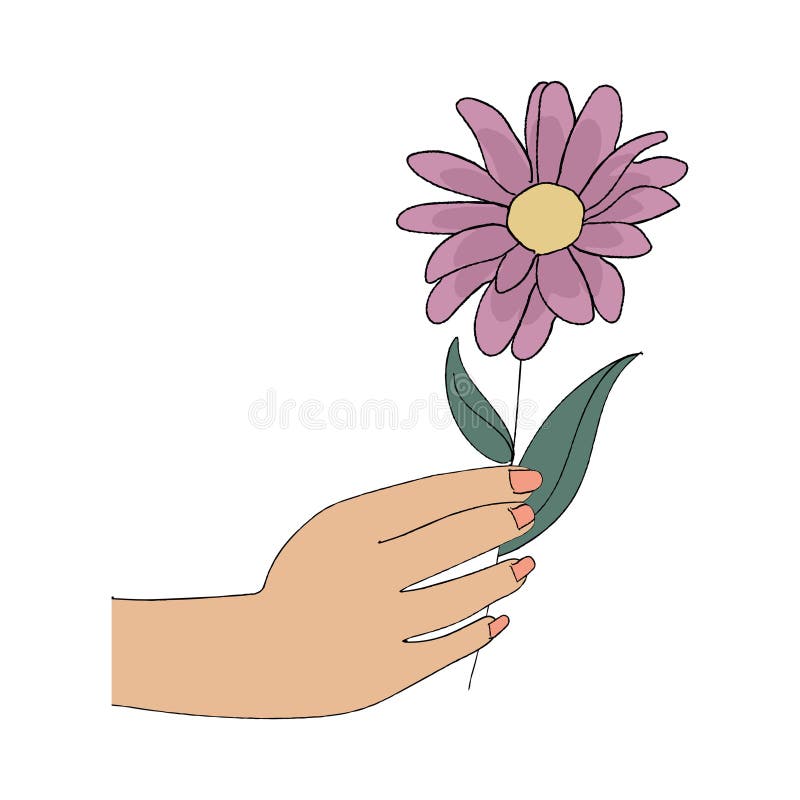 Isolated Hand Holding a Flower Sketch Vector Stock Vector