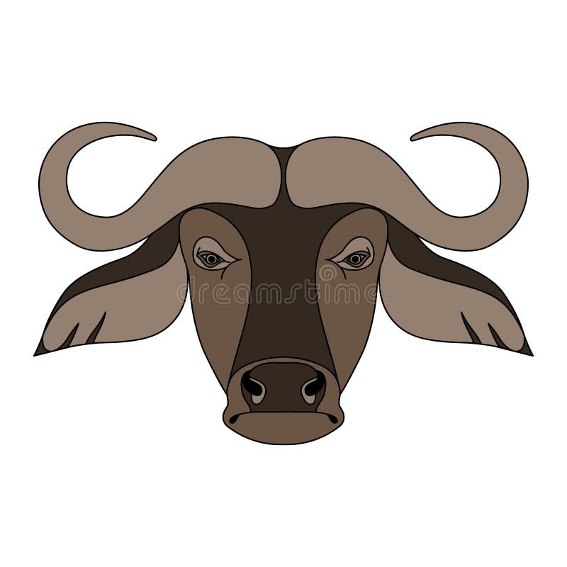 Isolated Buffalo on Background. Colored Cartoon Portrait. Stock Vector - Illustration of black, color: 94503050