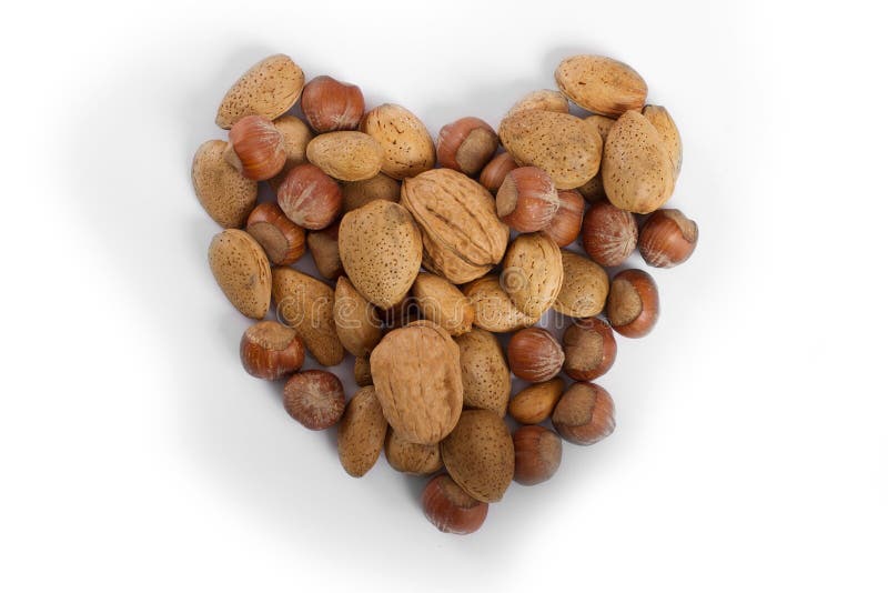 Isolated hearth nuts stock image. Image of nuts, hearth 28904857
