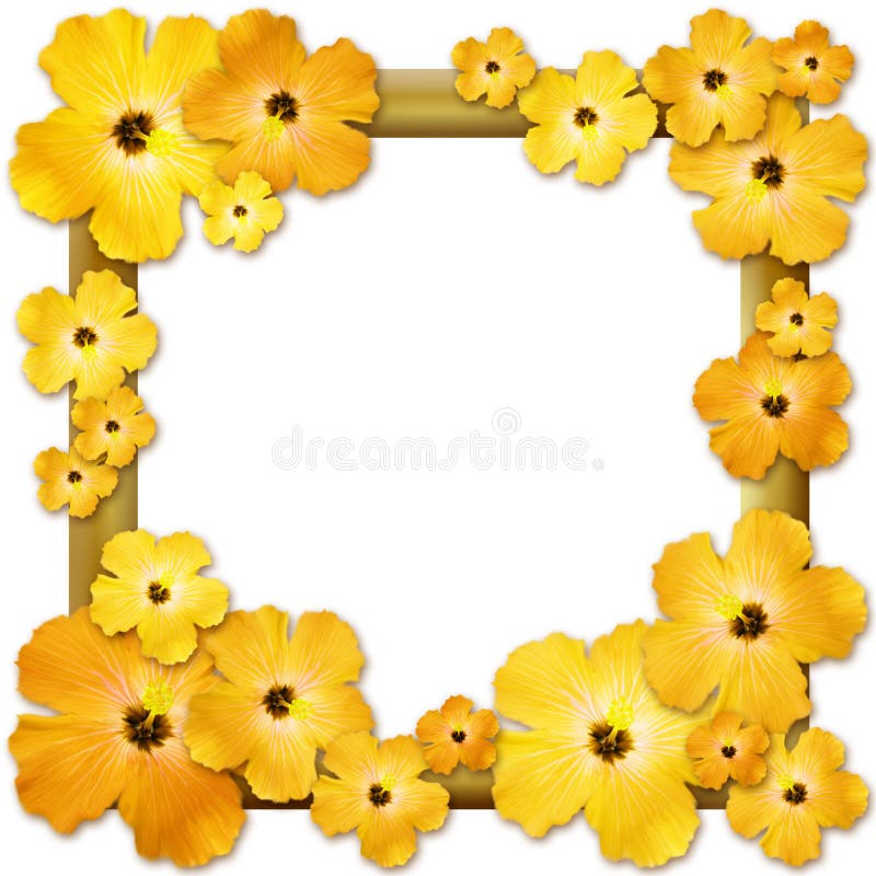 Simple Sunflowers Flower Circle Border Template Stock Illustration -  Illustration of geometric, gree: 132977777