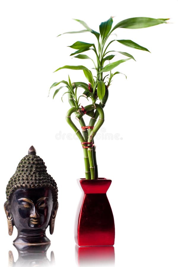 Isolated image of Buddha and Bamboo stock photo