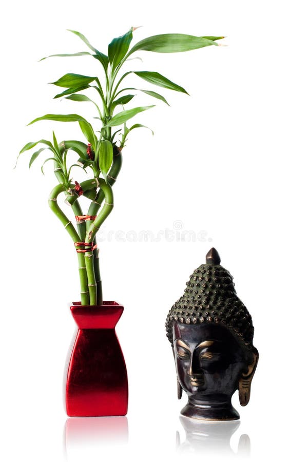 Isolated image of Buddha and Bamboo stock photography