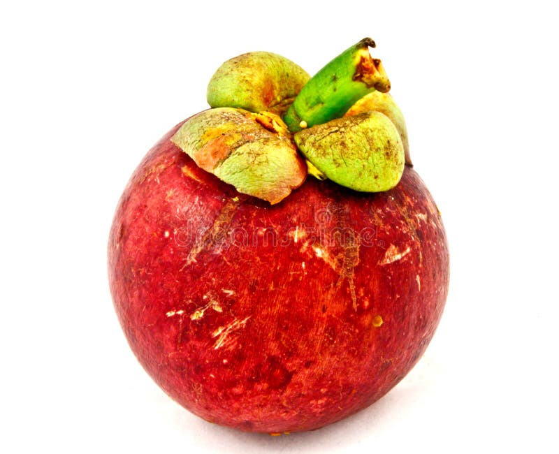 Isolated mangosteen stock photo. Image of exotic, garcinia 20097026