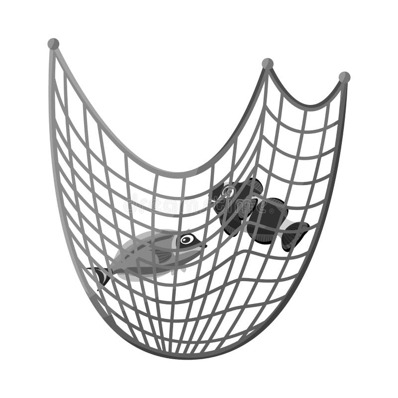 Fishing Net 5' x 10' | Decorative Fish Net | 2 Pack