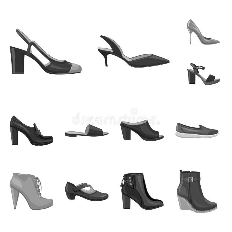 Vector Illustration Of Footwear And Woman Sign. Collection Of Footwear ...