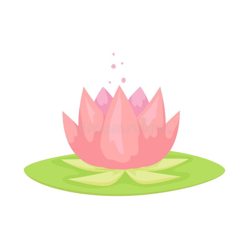 lotus animation