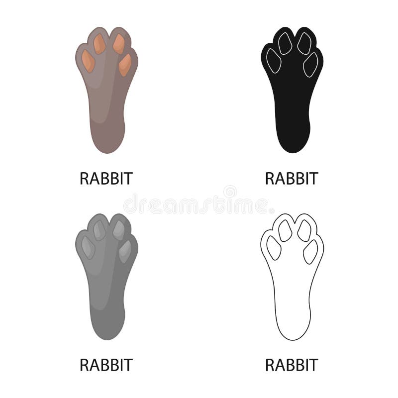 Feet Rabbit Stock Illustrations 363 Feet Rabbit Stock Illustrations Vectors Clipart Dreamstime
