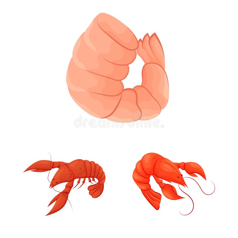 Isolated object of shrimp and crab logo. Collection of shrimp and sea vector icon for stock. stock illustration Isolated object of shrimp and crab logo. Collection of shrimp and sea vector icon for stock. stock illustration