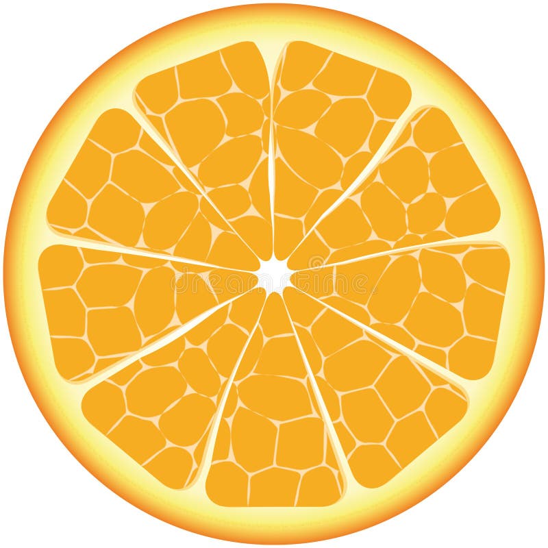 Isolated Orange Segments Stock Illustrations 322 Isolated Orange