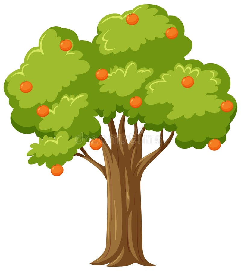 Isolated Orange Tree in Cartoon Style Stock Vector Illustration of