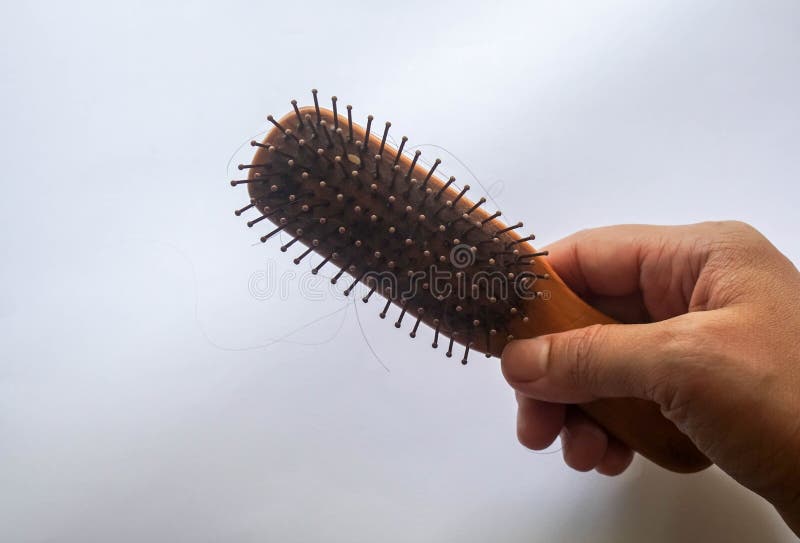 Isolated People with Cancer Hand Hold Wooden Comb with Hair Fall and Loss Stock Photo - Image of head, holding: 185598048 Isolated People with Cancer Hand Hold Wooden Comb with Hair Fall and Loss Stock Photo - Image of head, holding: 185598048