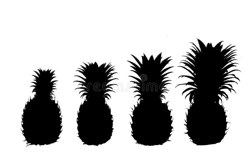Isolated pineapple in black color stock illustration