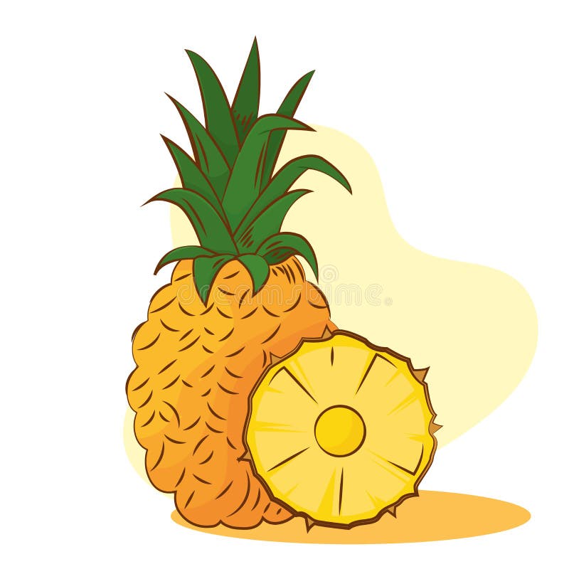 Isolated pineapple color sketch vector illustation vector illustration