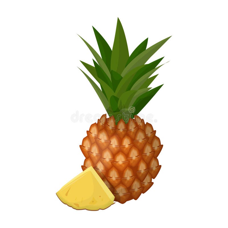 Isolated pineapple fruit. royalty free illustration