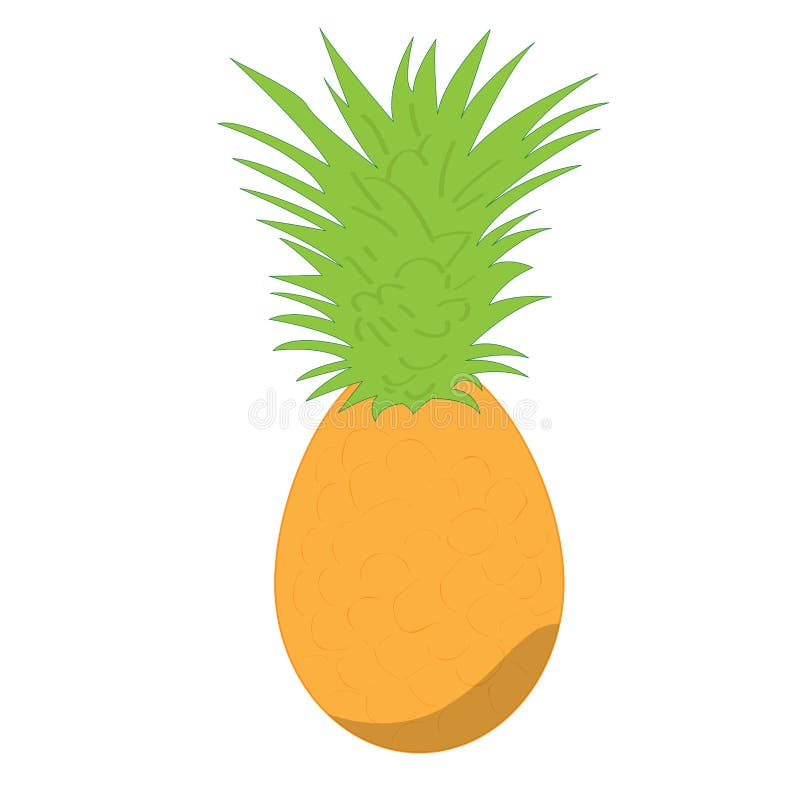 Isolated pineapple fruit vector illustration