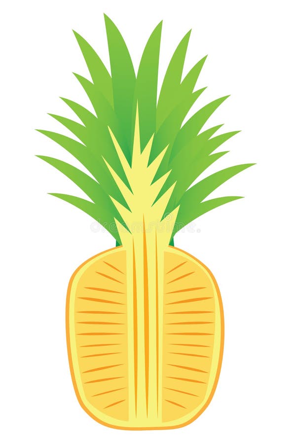 Isolated pineapple fruits vector royalty free illustration