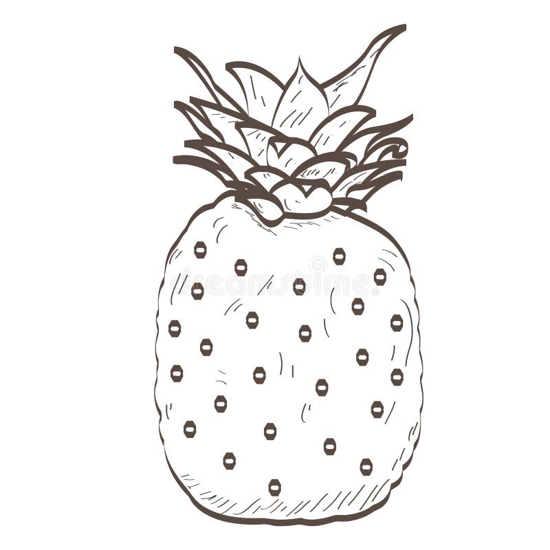 Isolated pineapple outline royalty free illustration