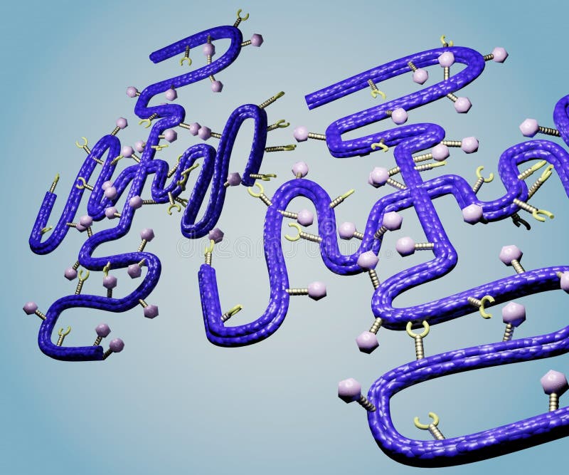 Isolated Polymer-drug conjugates 3d rendering stock illustration