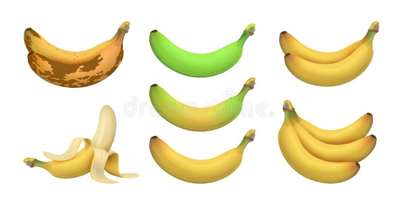 Rotten Banana Stock Illustrations – 319 Rotten Banana Stock Illustrations, Vectors & Clipart - Dreamstime Rotten Banana Stock Illustrations – 319 Rotten Banana Stock Illustrations, Vectors & Clipart - Dreamstime