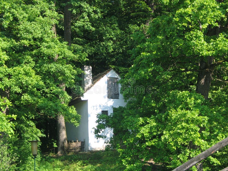 Isolated Romanian cottage in the woods