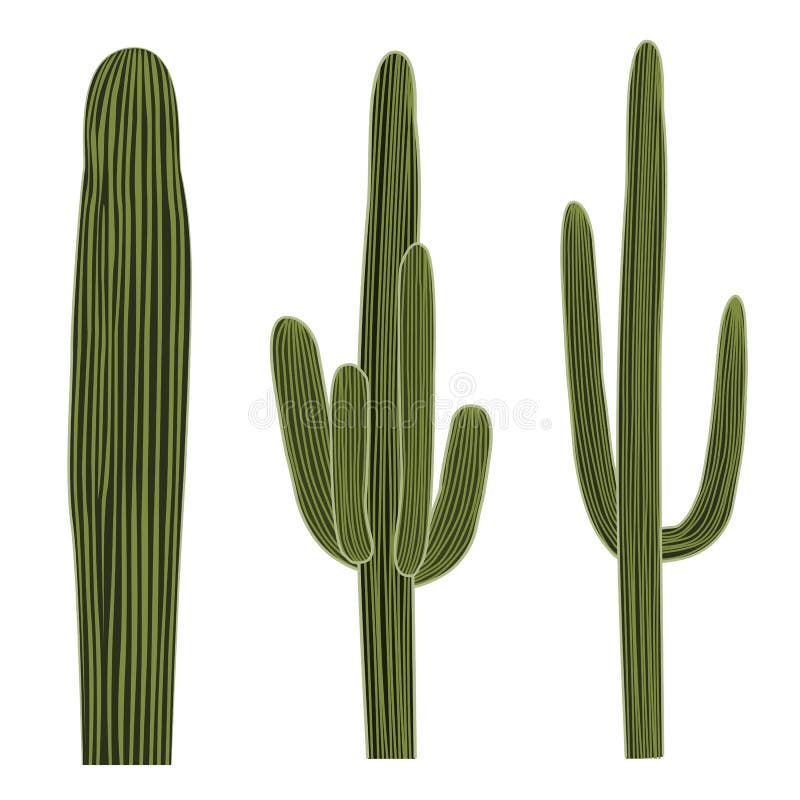 Isolated Saguaro Cactus Set