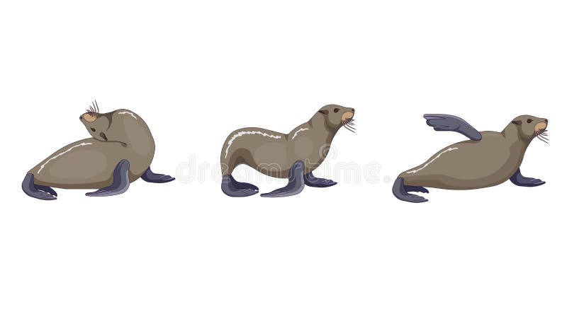 California Sea Lion Vector Illustration Hand Drawn Animal Cartoon Art Stock  Vector - Illustration of character, graphic: 181278542