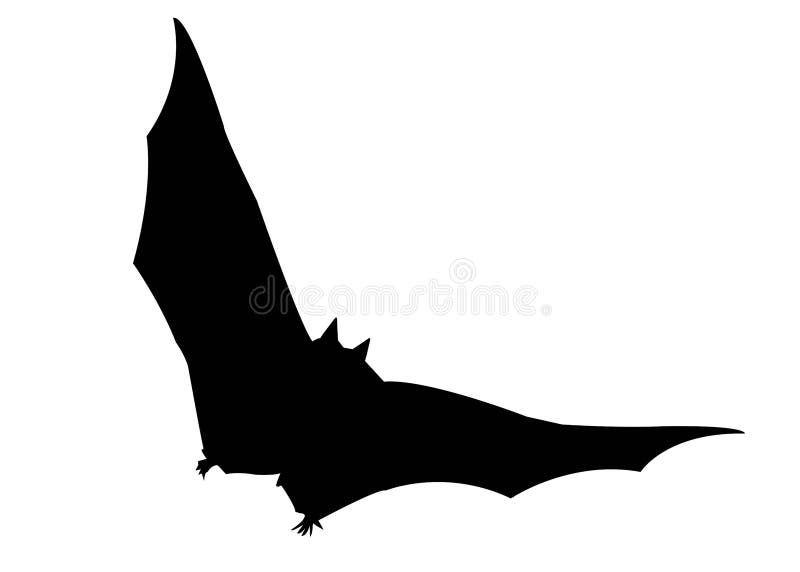 Isolated silhouette of a bat on a white background. Illustration.