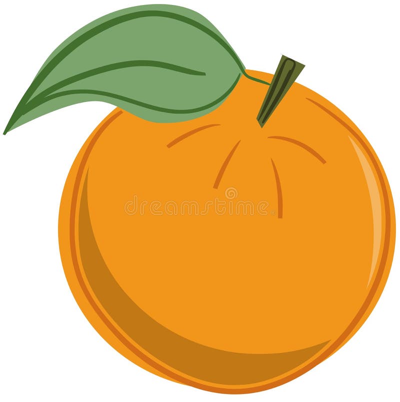 Orange Fruit Sketch Stock Illustrations – 22,081 Orange Fruit Sketch Stock  Illustrations, Vectors & Clipart - Dreamstime