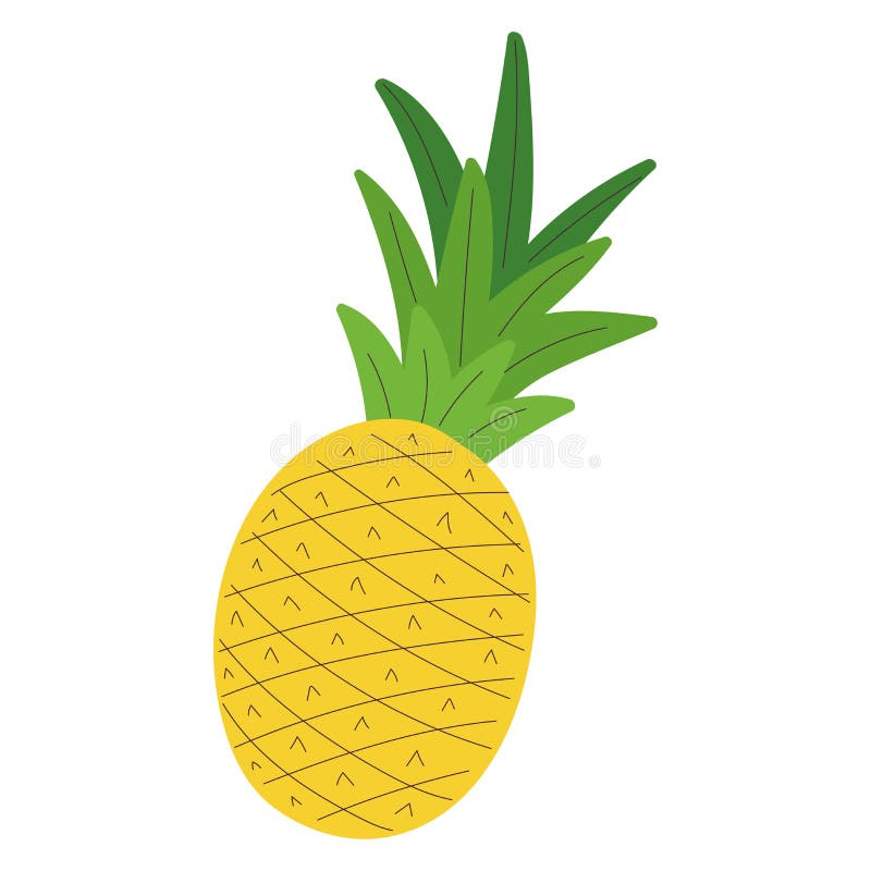 Isolated sketch of a pineapple icon Flat design Vector vector illustration