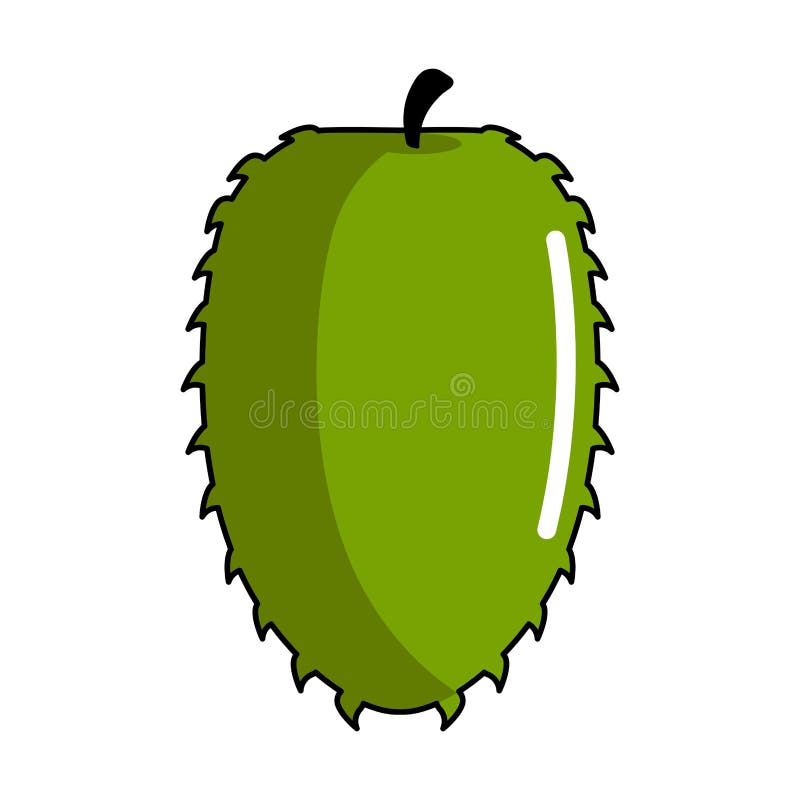 Isolated soursop icon royalty free illustration