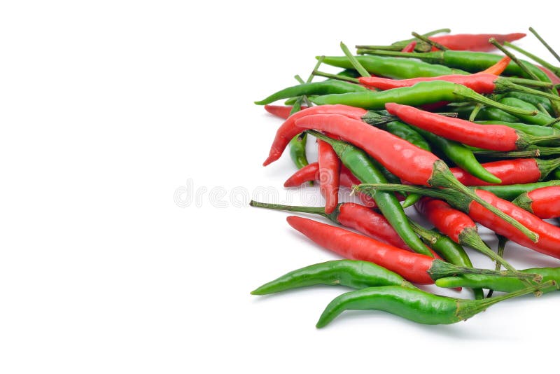 Red Chili Herb and Ingredient on Plate Stock Image Image of branch, ingredient 149714525