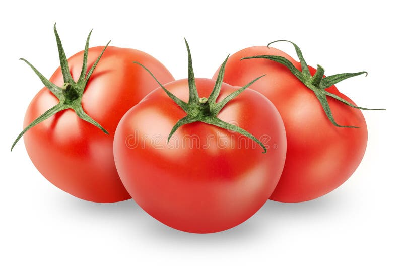 Isolated tomato. Three whole fresh red tomatoes on white background