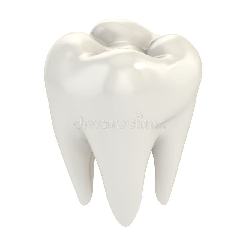 Isolated tooth royalty free illustration