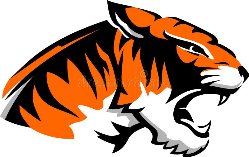 Tiger Head Fierce Side View Stock Vector - Illustration of mouth, face