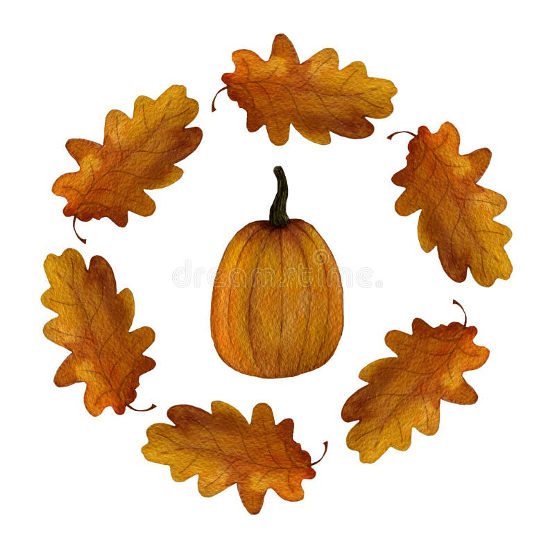 Decorations Thanksgiving Stock Illustrations 492 Decorations
