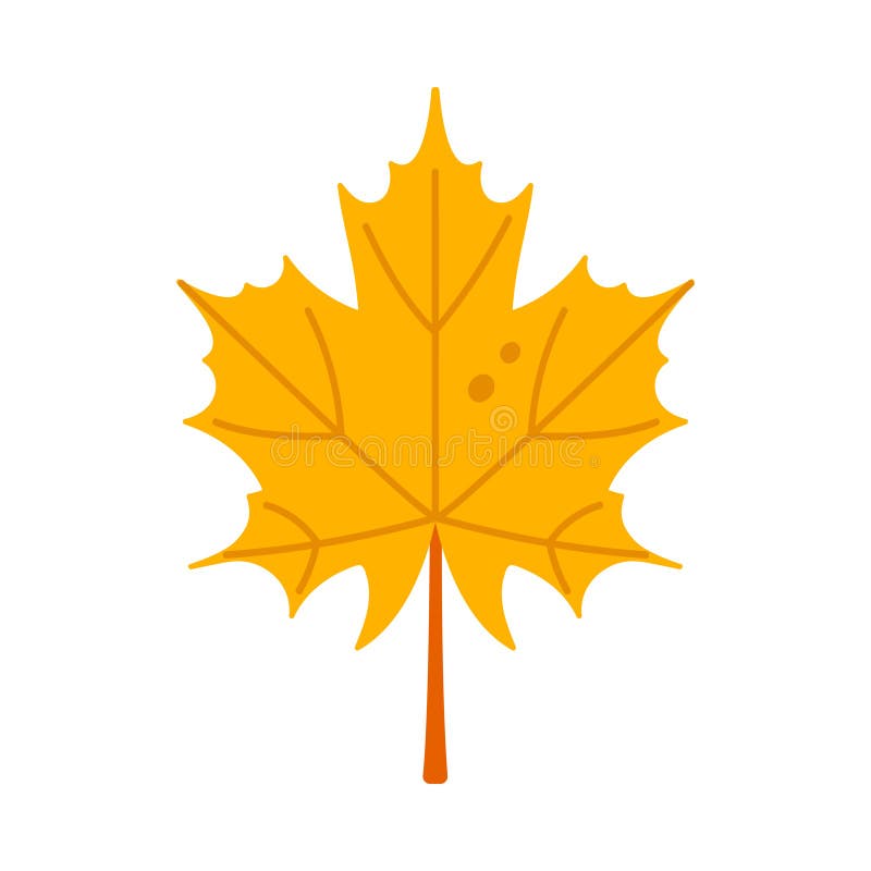 Bright yellow maple leaf isolated on white background, perfect for Canada themes vector illustration. Maple leaf canada cartoon vectors