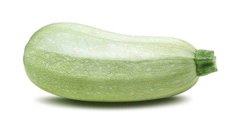 Isolerad enkel zucchini för squashgrönsakmärg royaltyfria foton Isolerad enkel zucchini för squashgrönsakmärg royaltyfria foton