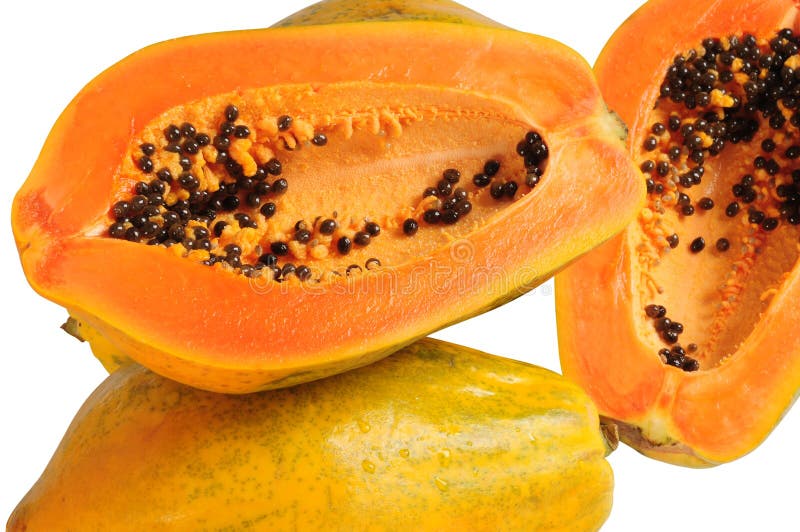 isolerad papaya arkivfoton isolerad papaya arkivfoton