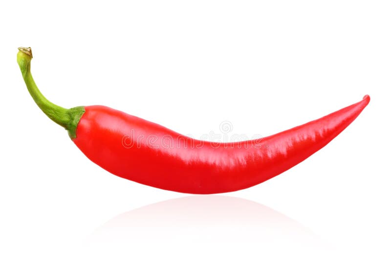 Isolerad peppar för röd chili royaltyfri fotografi
