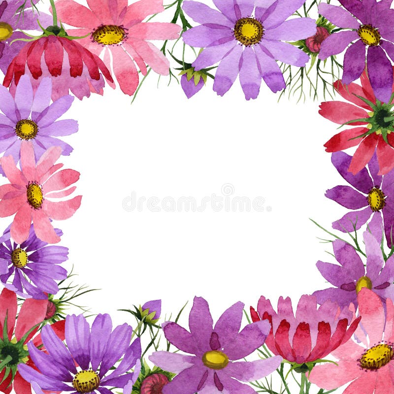Isolerad ram för vildblommakosmeyablomma i en vattenfärgstil stock illustrationer Isolerad ram för vildblommakosmeyablomma i en vattenfärgstil stock illustrationer