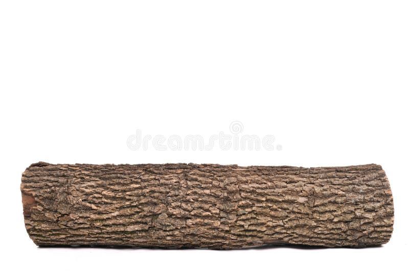 Close-up of Isolated stub log with wooden texture. Close-up of Isolated stub log with wooden texture