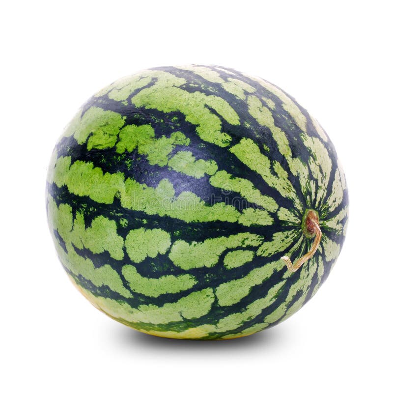 isolerad vattenmelon fotografering för bildbyråer