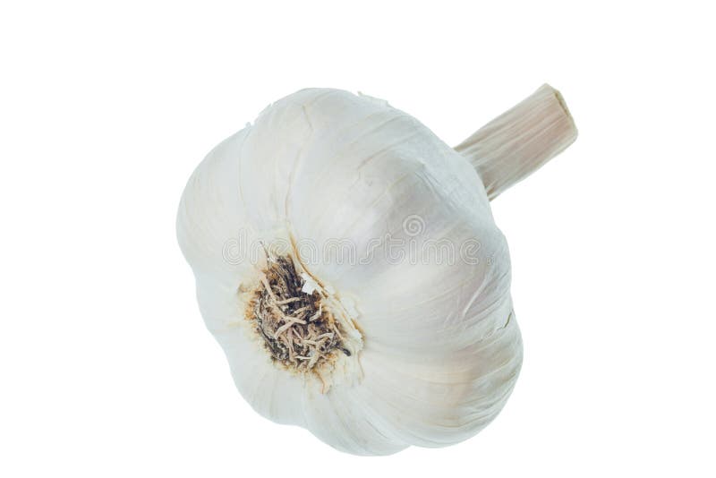 Isolerad vitlök arkivbilder