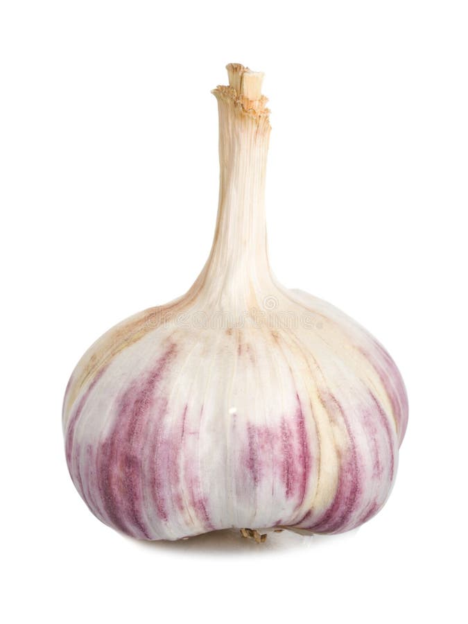 Isolerad vitlök royaltyfri bild