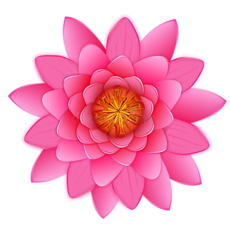 Isolerade härlig rosa lotusblomma eller waterlily blomma. stock illustrationer