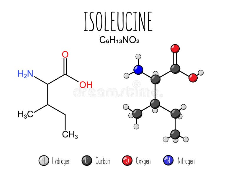 Isoleucine Amino Acid Representation. Stock Vector Illustration of