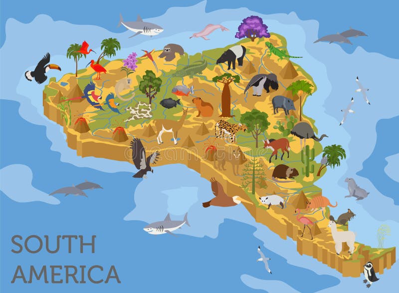 Isometric 3d Ameryka Południowa flory i fauny kartografują elementy zwierzęta