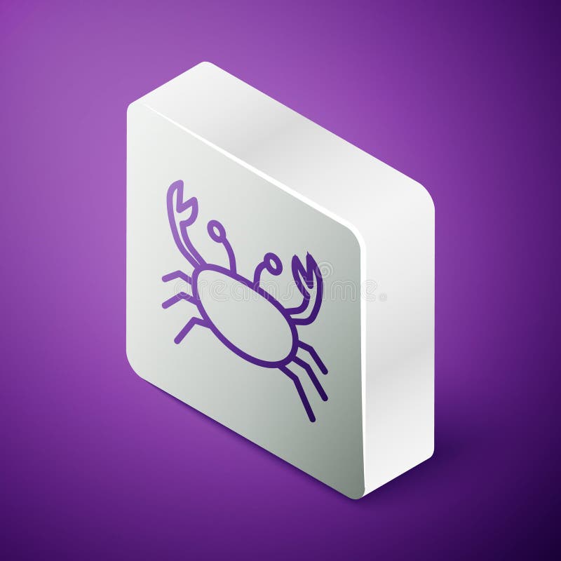 Isometric line Crab icon isolated on purple background. Silver square button. Vector stock illustration