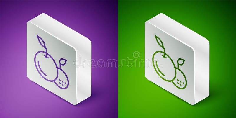 Isometric line Fruit icon isolated on purple and green background. Silver square button. Vector vector illustration